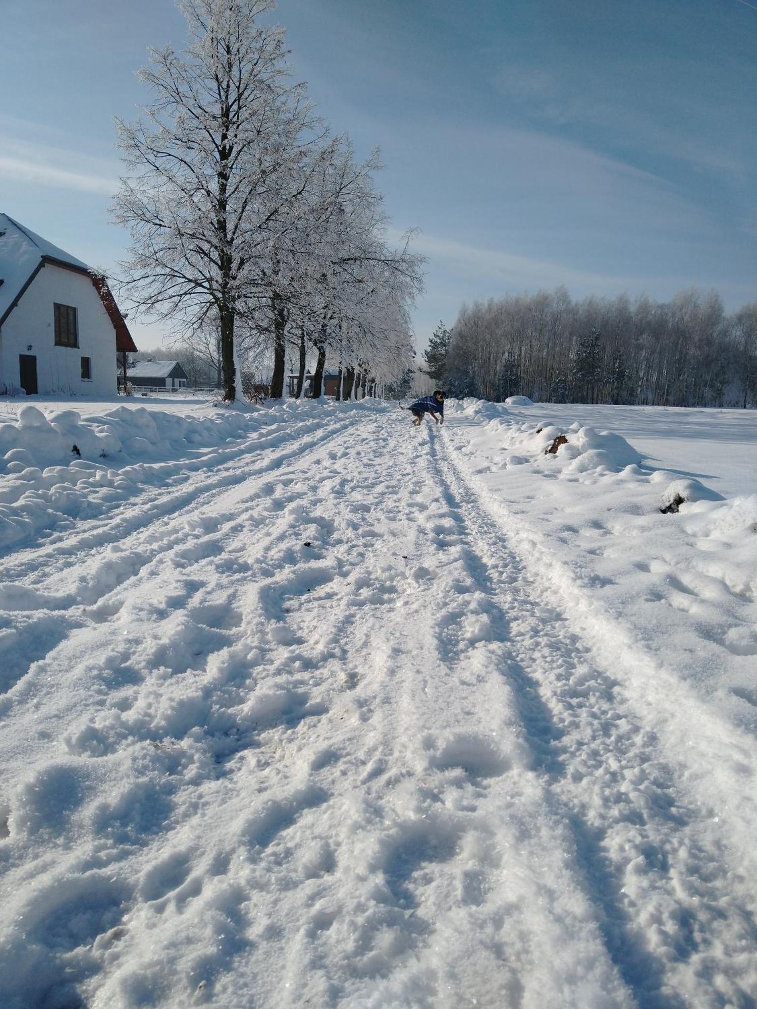 Domek Przy Stajni Bogdanowka Caloroczny Rossosz Zewnętrze zdjęcie